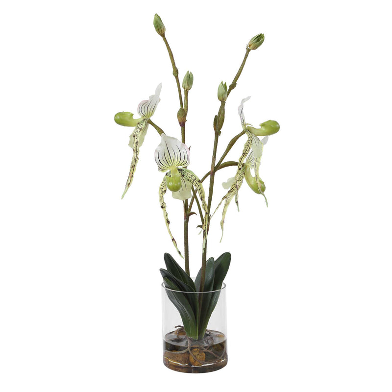Uttermost Lady Slipper Orchid In Glass Vase