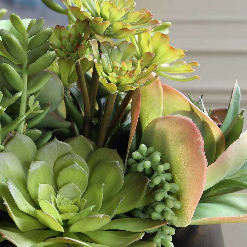 Uttermost Mico Indoor-Outdoor Succulent Centerpiece