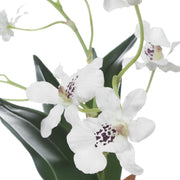 Uttermost Clovis Orchid Drop-In