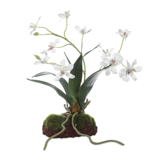 Uttermost Clovis Orchid Drop-In
