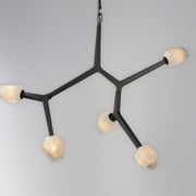 ET2 E32795-93BK Blossom 5 Light LED Pendant | Black