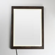 ET2 E42052-WN Sawyer 24"x32" Walnut Framed LED Mirror | Walnut