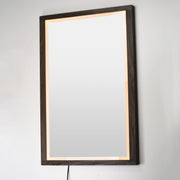 ET2 E42054-WN Sawyer 48"x32" Walnut Framed LED Mirror | Walnut