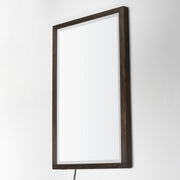 ET2 E42054-WN Sawyer 48"x32" Walnut Framed LED Mirror | Walnut