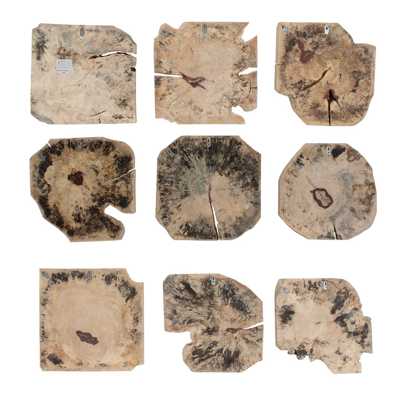 Uttermost 4398 Bahati Wood Bleached Wall Decor Set/9