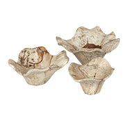 Uttermost 3505 Teo Bleached Wood Wall Decor Set/3