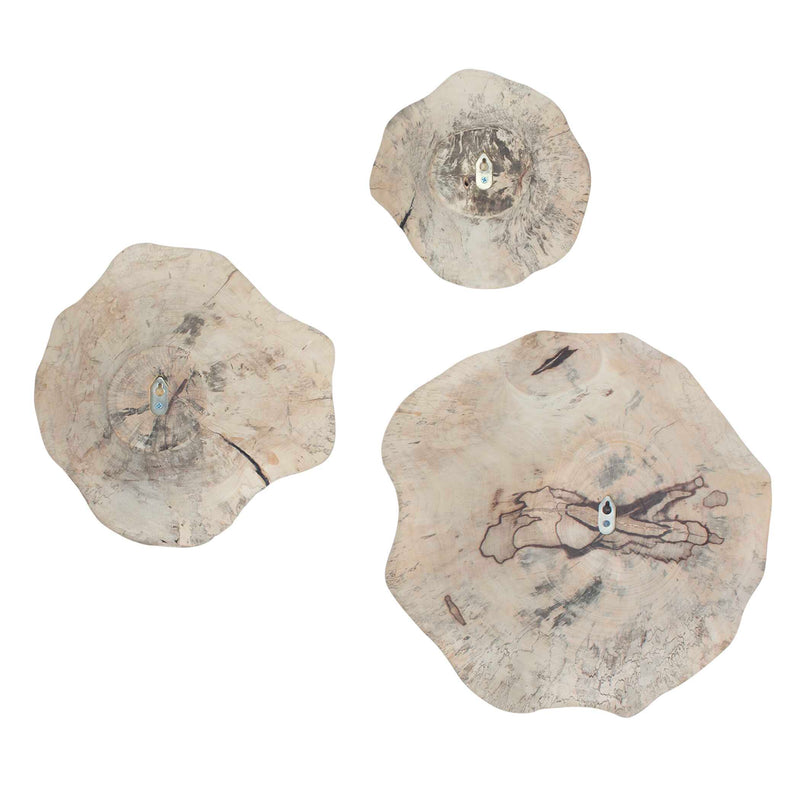 Uttermost 3505 Teo Bleached Wood Wall Decor Set/3