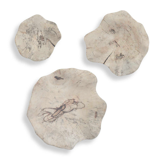 Uttermost 3505 Teo Bleached Wood Wall Decor Set/3