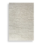 Uttermost 73094-6 Miramar Cozy Shag 6 X 9 Rug