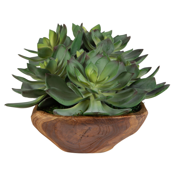 Uttermost Yuma Succulent Centerpiece