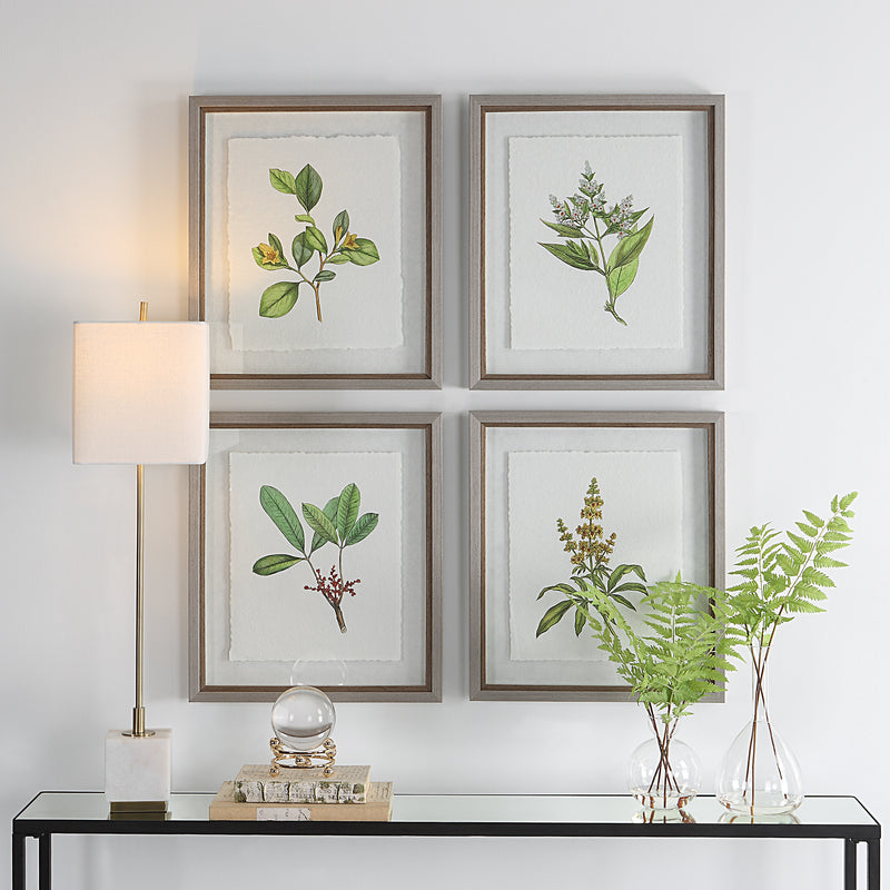 Uttermost Wildflower Study Framed Prints, S/4 - ALCOVE LIGHTING