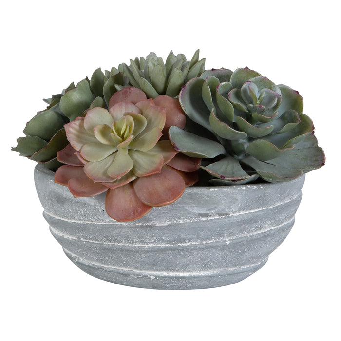 Uttermost Peoria Succulent Accent