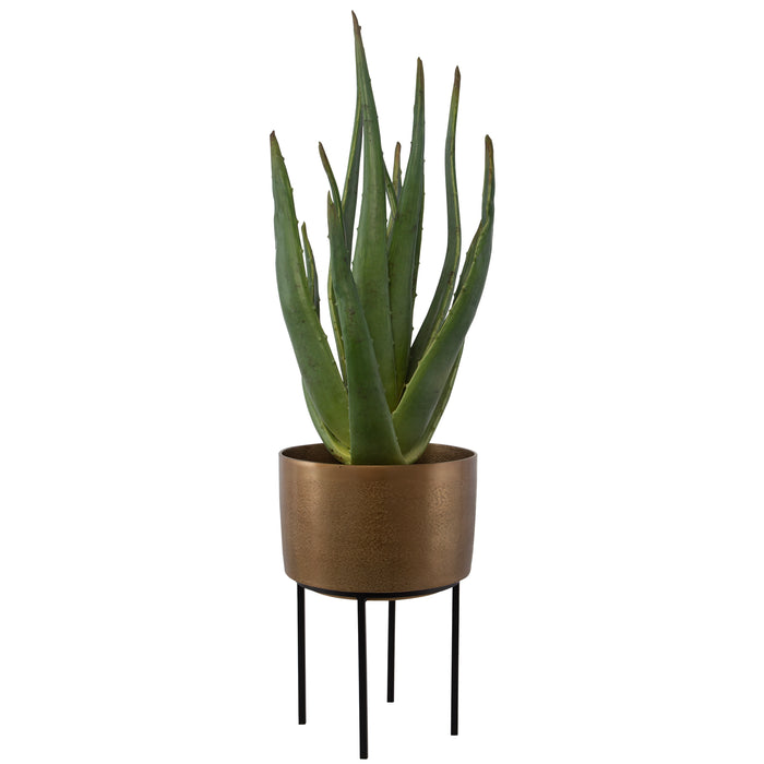 Uttermost Arabia Aloe Planter