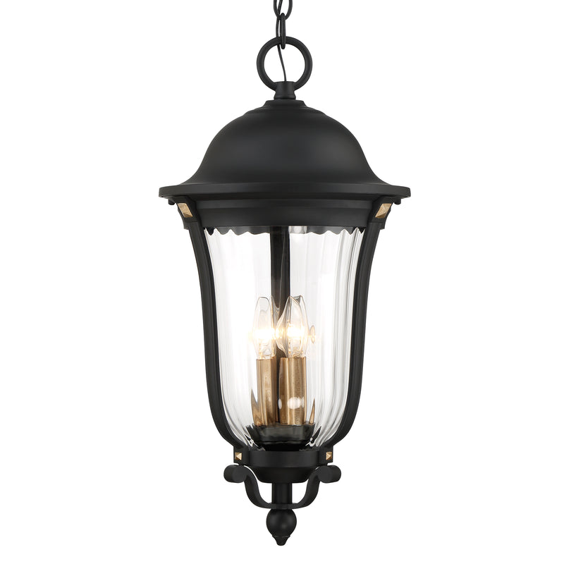 Minka Lavery Great Outdoors Peale Street 4 Light Outdoor Chain Hung-Sand Coal