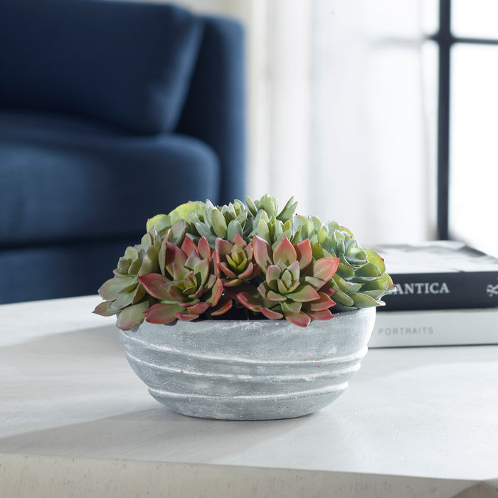 Uttermost Peoria Succulent Accent