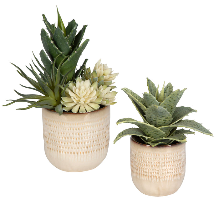 Uttermost Seaside Succulents, Set/2