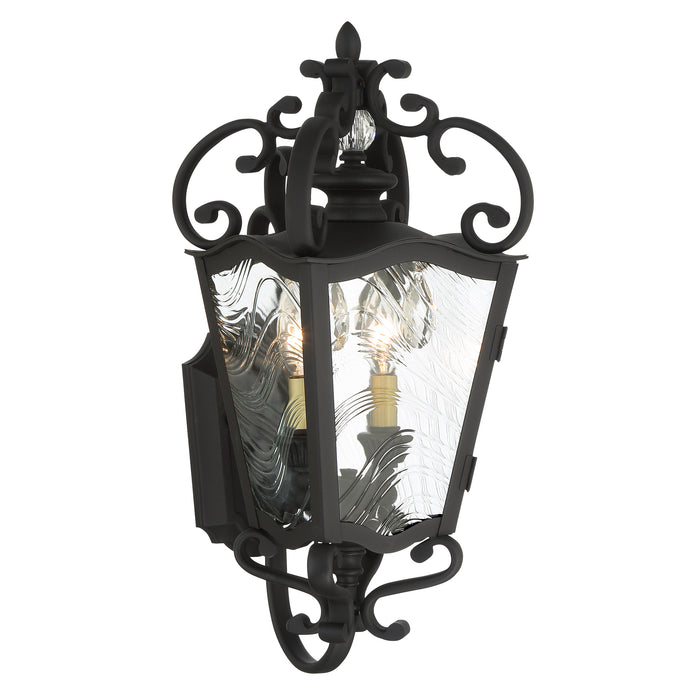 Minka Lavery Great Outdoors Brixton Ivy 2 Light Outdoor Lantern-Coal W/Honey Gold