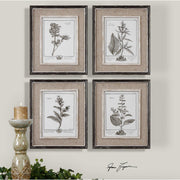 Uttermost 32510 Casual Grey Study Framed Art Prints Set of 4 - ALCOVE LIGHTING