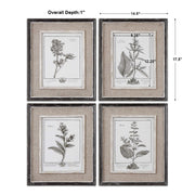 Uttermost 32510 Casual Grey Study Framed Art Prints Set of 4 - ALCOVE LIGHTING