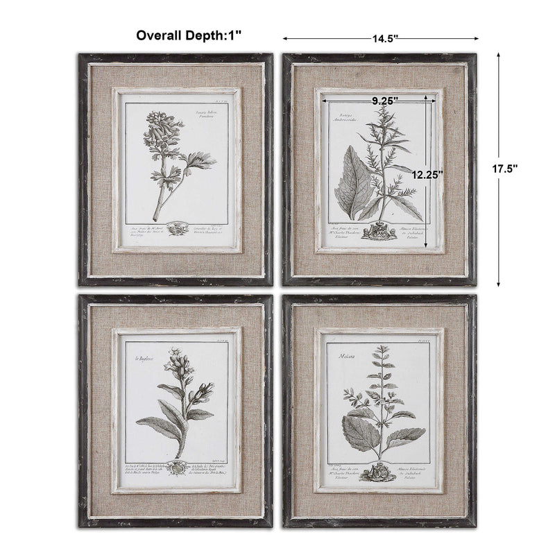 Uttermost 32510 Casual Grey Study Framed Art Prints Set of 4 - ALCOVE LIGHTING