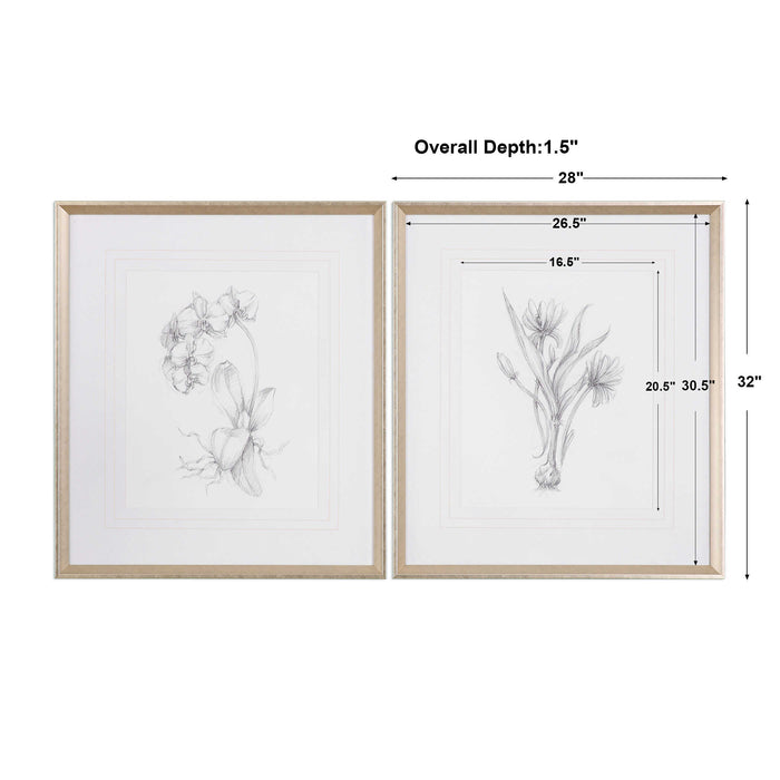 Uttermost 33649 Botanical Sketches Framed Art Prints Set of 2
