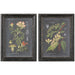 Uttermost 56053 Midnight Botanicals Framed Art Prints Set of 2