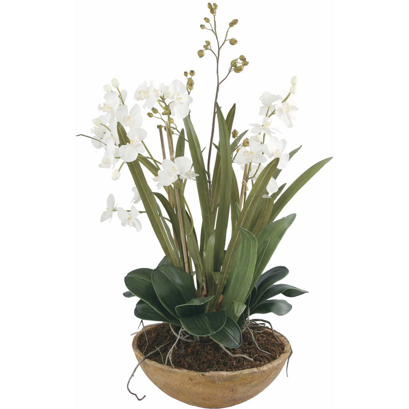 Uttermost 60039 Moth Orchid Planter