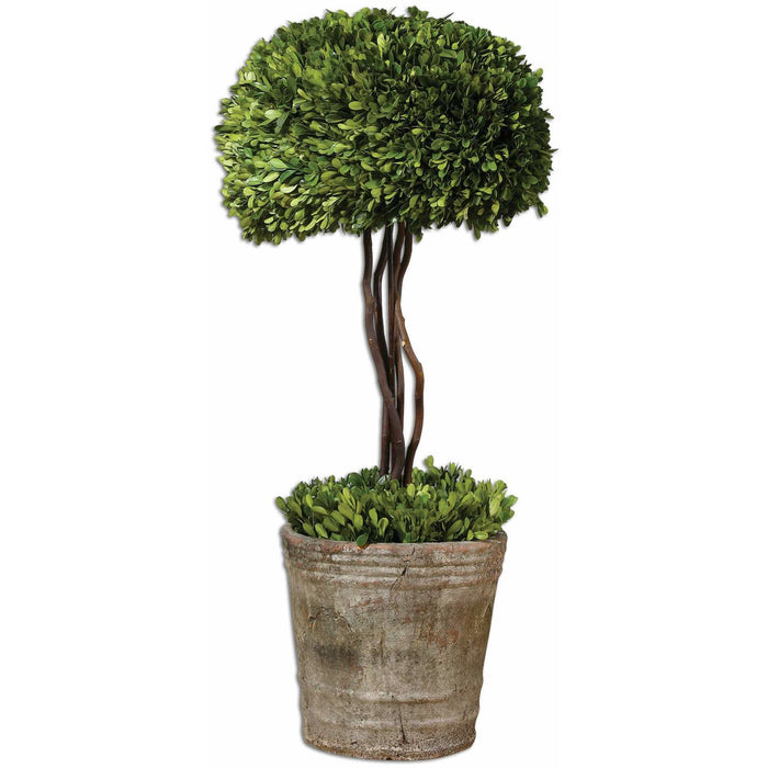 Uttermost 60095 Tree Topiary Preserved Boxwood