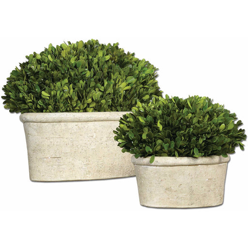 Uttermost 60107 Oval Domes Preserved Boxwood
