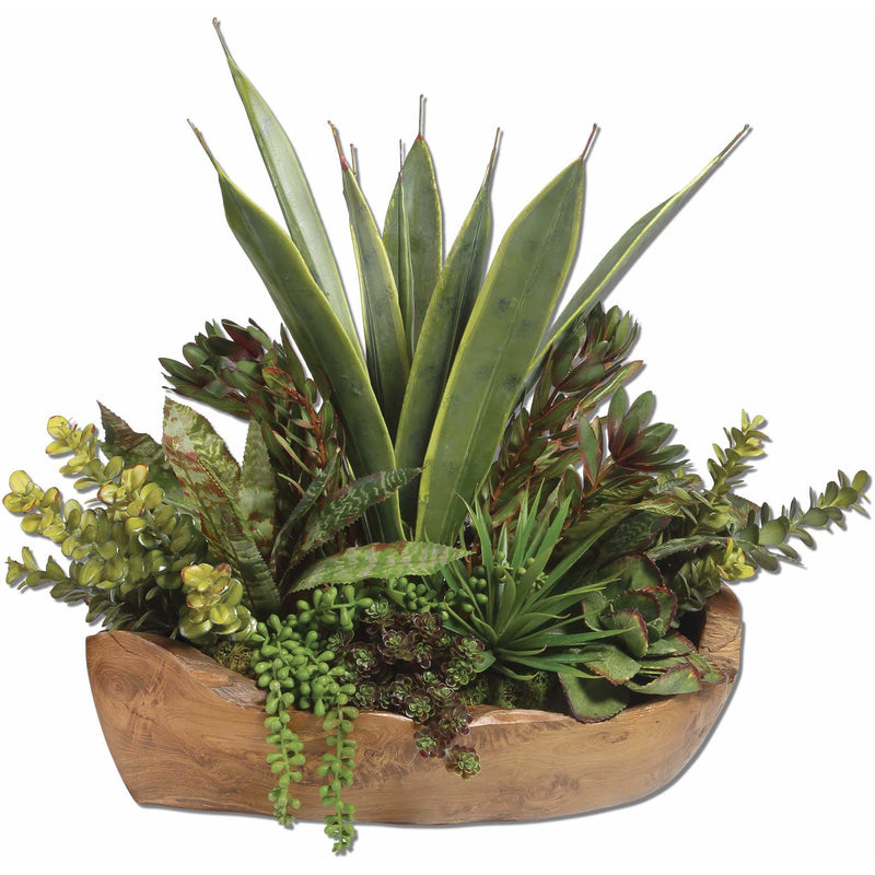 Uttermost 60119 Salar Succulents in Teak Bowl