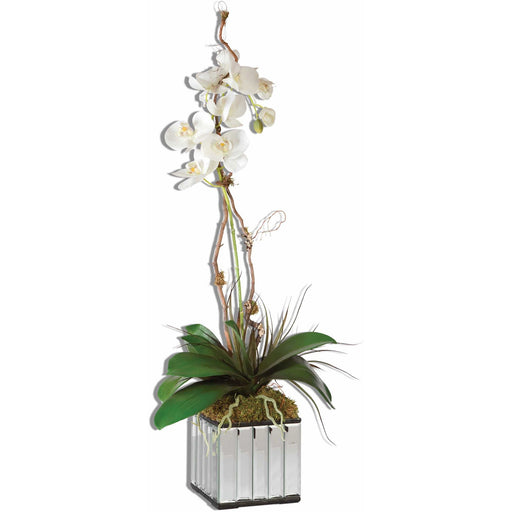 Uttermost 60122 White Kaleama Orchids