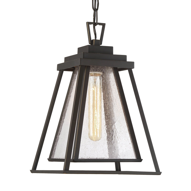 Minka Lavery Sleepy Hollow 1 Light Chain Hung Fixture with Dakota Bronze Finish and Clear Seeded Glass (Chain Hung Fixture 9.25 in W x 14.13 in H)