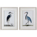 Uttermost 33668 Shore Birds Framed Prints Set of 2