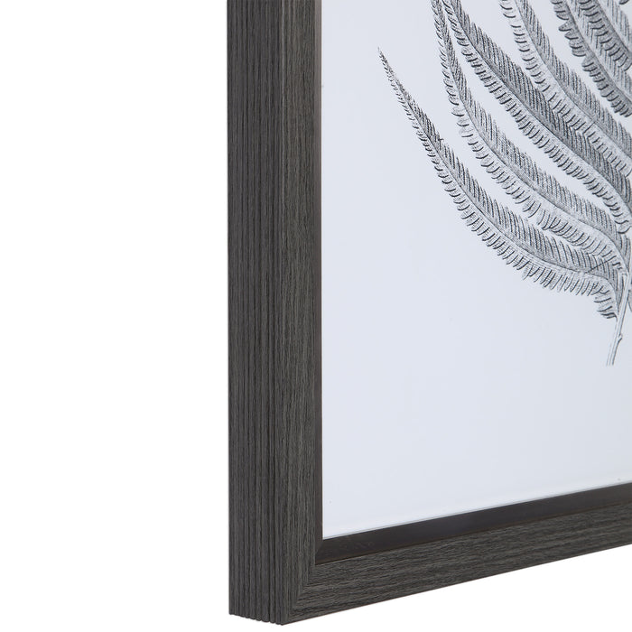 Uttermost 33685 Silver Ferns Framed Prints Set of 2