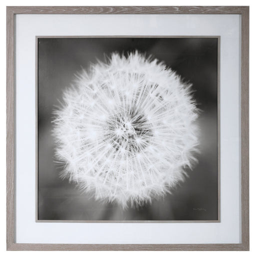 Uttermost 33711 Dandelion Seedhead Framed Print
