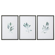 Uttermost Simple Sage 33723 Watercolor Prints, Set of 3
