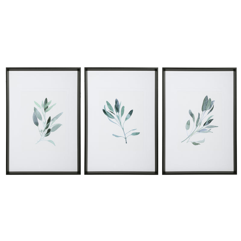 Uttermost Simple Sage 33723 Watercolor Prints, Set of 3