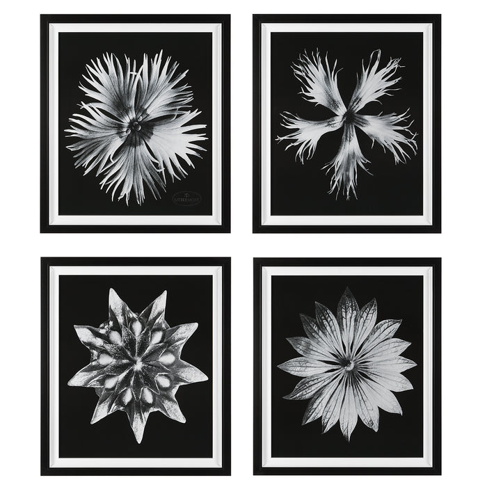 Uttermost Contemporary Floret Framed Prints