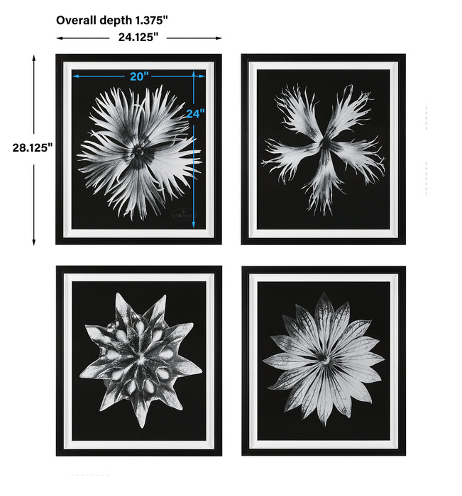 Uttermost Contemporary Floret Framed Prints