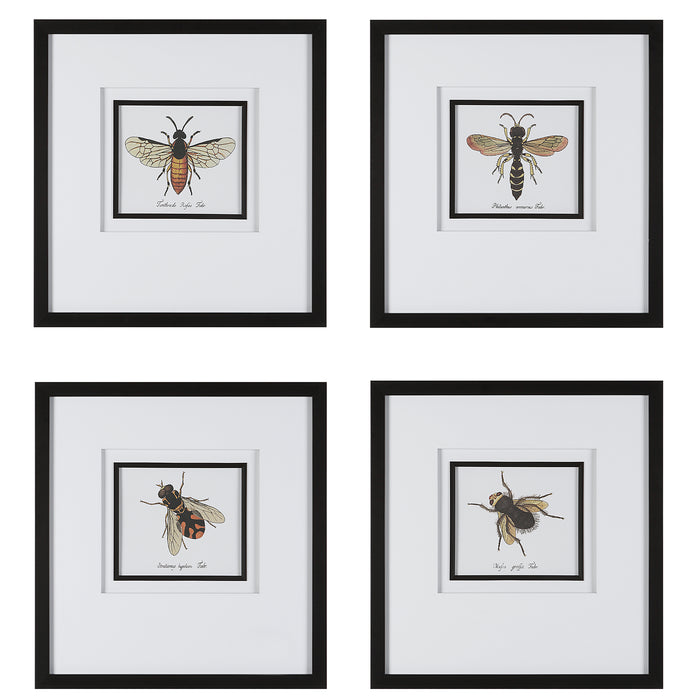 Uttermost Anthophila Framed Prints