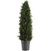Uttermost 60139 Cypress Cone Topiary