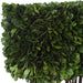 Uttermost Preserved Boxwood Rectangular Topiary