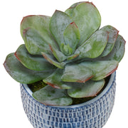 Uttermost Puebla Greenery In Blue & White Pots
