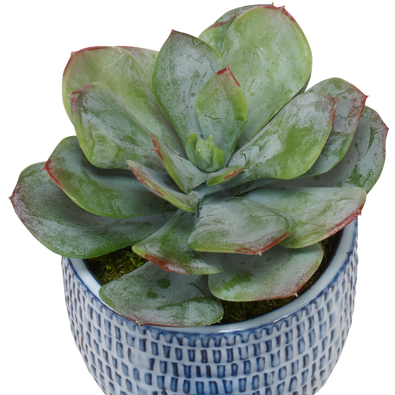 Uttermost Puebla Greenery In Blue & White Pots
