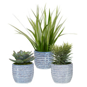Uttermost Puebla Greenery In Blue & White Pots