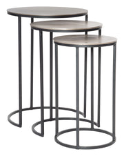 Uttermost 25057 Erik Metal Nesting Tables, Set of 3