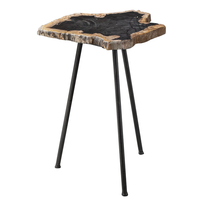 Uttermost 25461 Mircea Petrified Wood Accent Table
