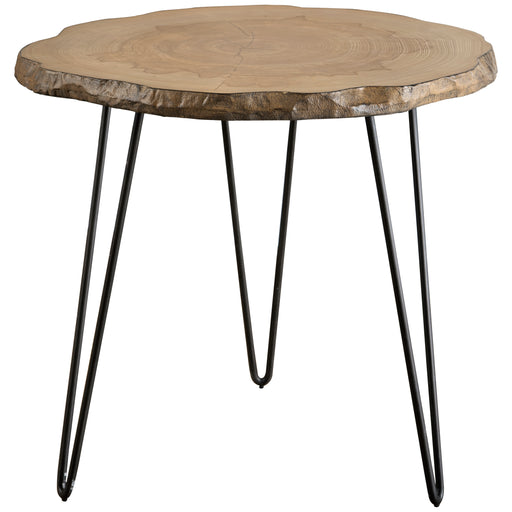 Uttermost 25468 Runay Wood Slab Side Table