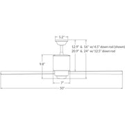 Modern Fan Company Lapa Ceiling Fan